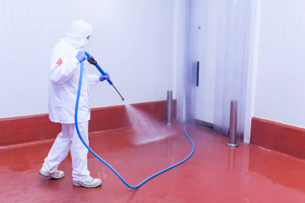 Best Building Exterior Washing  in Helena Valley Northeast, MT